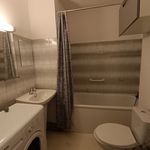 Rent 1 bedroom apartment of 23 m² in ToulouseT