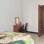Affitto 3 camera casa di 90 m² in Viterbo