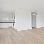 Rent a room of 121 m² in 's-Gravenhage