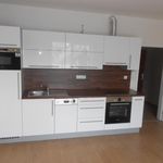 Rent 1 bedroom apartment of 45 m² in České Budějovice
