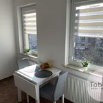 Rent 1 bedroom apartment of 35 m² in Kraków