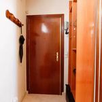 Rent 1 bedroom apartment in Humilladero