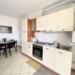 Affitto 1 camera appartamento di 46 m² in Cernusco sul Naviglio