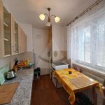 Rent 1 bedroom apartment of 43 m² in Opava