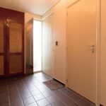 Rent 4 bedroom apartment of 200 m² in Sint-Stevens-Woluwe