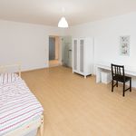Rent a room of 70 m² in München