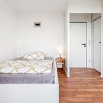 Rent 1 bedroom apartment of 21 m² in Magdeburg
