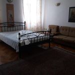 Rent 1 bedroom apartment of 70 m² in Rijeka
