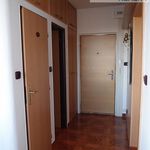 Rent 1 bedroom apartment of 34 m² in Hradec Králové