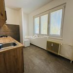 Rent 1 bedroom apartment of 35 m² in Kralupy nad Vltavou