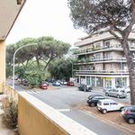 Rent a room of 150 m² in Roma