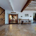 Rent 12 bedroom house of 1200 m² in Albacete