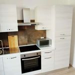 Rent 1 bedroom apartment in Padova