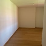 Rent 4 bedroom apartment in Novazzano