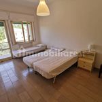 Rent 2 bedroom apartment of 90 m² in Montauro