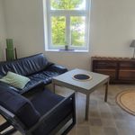 Rent 1 bedroom apartment in Mířkov