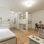 Rent 1 bedroom apartment of 30 m² in Wiener Neustadt