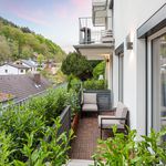 Rent 2 bedroom apartment of 45 m² in Heidelberg
