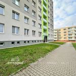 Rent 1 bedroom apartment of 41 m² in Dobřany