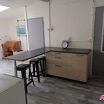 Rent 1 bedroom apartment of 25 m² in Lille