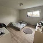 Huur 4 slaapkamer huis van 220 m² in Namur