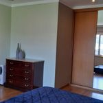 Rent 3 bedroom apartment of 230 m² in Porto