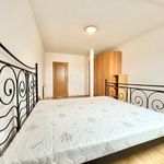 Rent 3 bedroom apartment of 109 m² in Číhošť