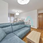 Rent 2 bedroom apartment of 83 m² in Oviedo