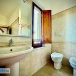 Rent 3 bedroom apartment of 75 m² in San Miniato