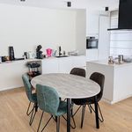Rent 2 bedroom apartment in Lommel