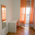 Alquilar 9 dormitorio apartamento en Alicante