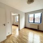Rent 2 bedroom apartment of 130 m² in Brussel