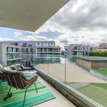Rent 2 bedroom apartment in Halle