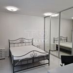 Rent 2 bedroom apartment of 70 m² in Číhošť