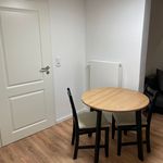 Rent 1 bedroom apartment of 24 m² in Offenbach am Main