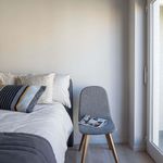 Rent 1 bedroom apartment in Koksijde