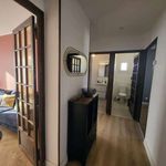 Rent 3 bedroom apartment of 76 m² in lyon
