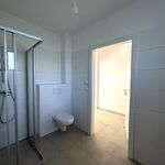 Rent 3 bedroom apartment of 61 m² in Riegersburg