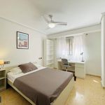 Rent 4 bedroom apartment in Sant Vicent del Raspeig