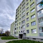 Rent 1 bedroom apartment of 45 m² in Ostrava