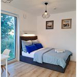 Miete 1 Schlafzimmer wohnung von 30 m² in Bad Homburg