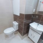 Rent 1 bedroom apartment of 41 m² in Usti Nad Labem