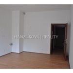 Rent 1 bedroom apartment of 26 m² in Ceské Budejovice