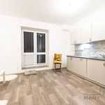 Rent 1 bedroom apartment of 28 m² in Ostrava