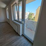 Rent 1 bedroom apartment of 45 m² in Pilsen