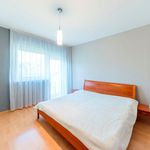 Rent 4 bedroom apartment of 97 m² in Číhošť