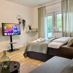 Rent 1 bedroom apartment of 42 m² in Essen