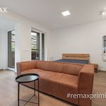 Rent 1 bedroom apartment of 41 m² in Konstantinovy Lázně