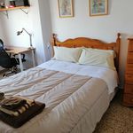 Alquilar 3 dormitorio apartamento en Palma