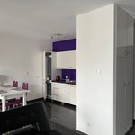 Rent 1 bedroom apartment of 48 m² in Gliwice